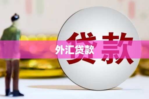 广东外汇贷款