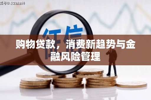 广东购物贷款，消费新趋势与金融风险管理