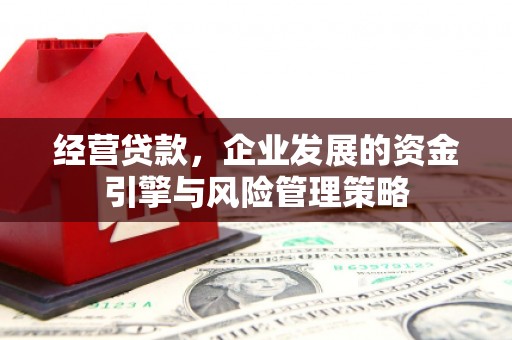 广东经营贷款，企业发展的资金引擎与风险管理策略