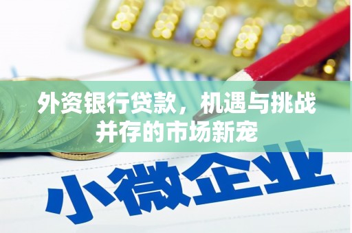 广东外资银行贷款，机遇与挑战并存的市场新宠