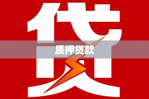 广东质押贷款