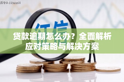 广东贷款逾期怎么办？全面解析应对策略与解决方案