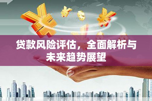 广东贷款风险评估，全面解析与未来趋势展望