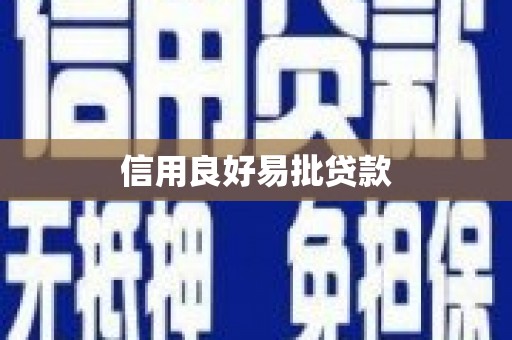 广东信用良好易批贷款