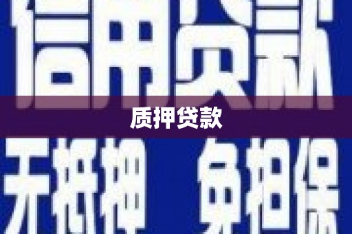 广东质押贷款