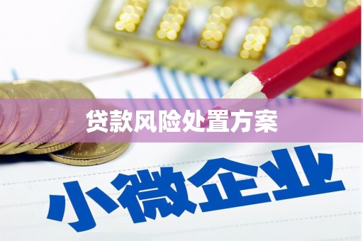 广东贷款风险处置方案