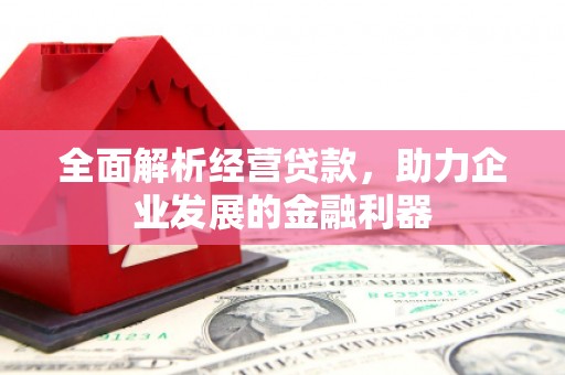 广东全面解析经营贷款，助力企业发展的金融利器