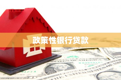 广东政策性银行贷款
