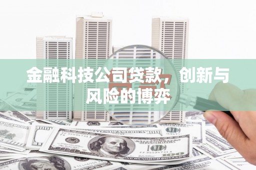 广东金融科技公司贷款，创新与风险的博弈