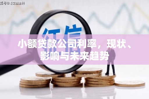广东小额贷款公司利率，现状、影响与未来趋势