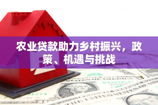 广东农业贷款助力乡村振兴，政策、机遇与挑战