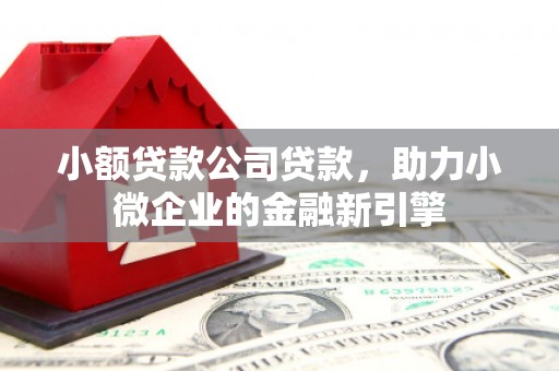 广东小额贷款公司贷款，助力小微企业的金融新引擎
