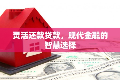 广东灵活还款贷款，现代金融的智慧选择