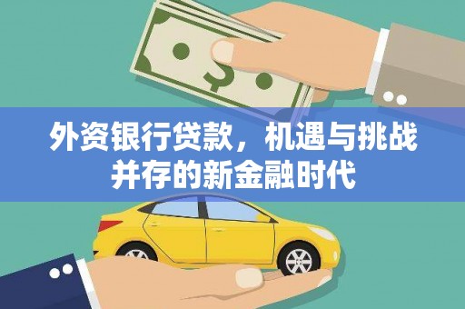 广东外资银行贷款，机遇与挑战并存的新金融时代