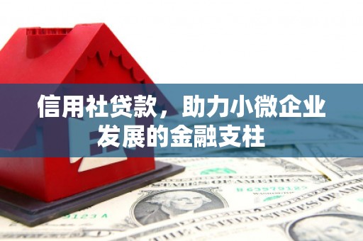 广东信用社贷款，助力小微企业发展的金融支柱