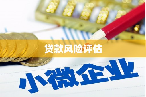广东贷款风险评估