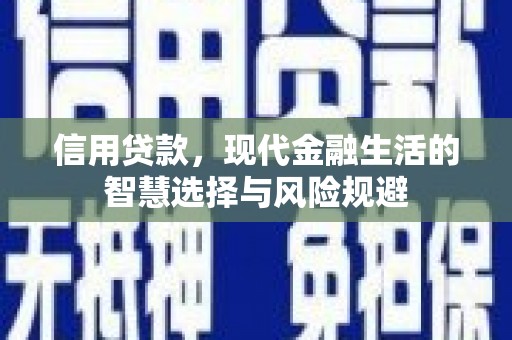 广东信用贷款，现代金融生活的智慧选择与风险规避