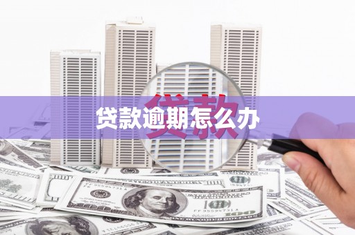 广东贷款逾期怎么办