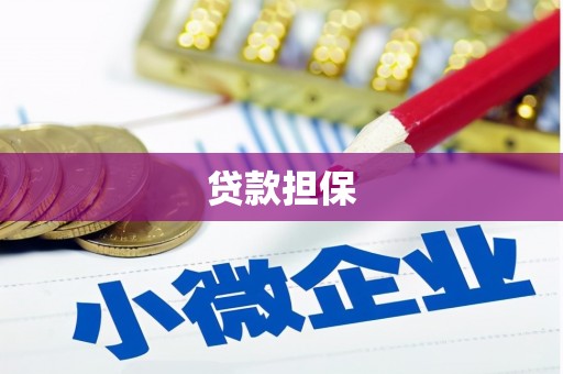 广东贷款担保