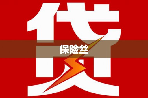 广东保险丝