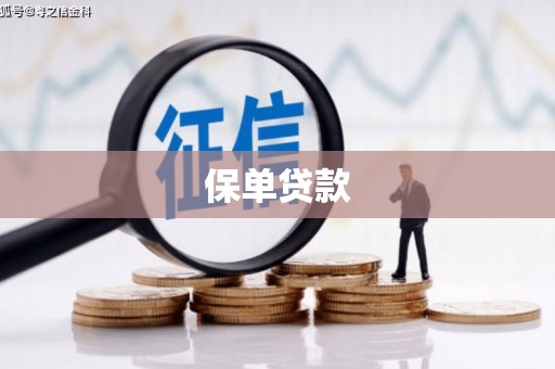 广东保单贷款