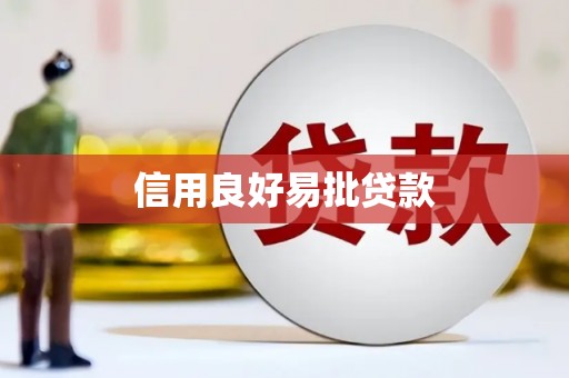 广东信用良好易批贷款