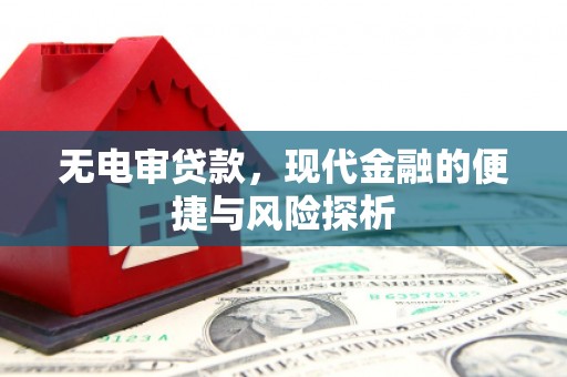 广东无电审贷款，现代金融的便捷与风险探析