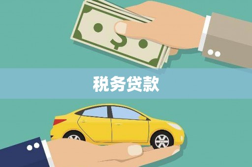 广东税务贷款