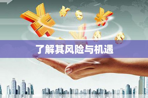 广东了解其风险与机遇