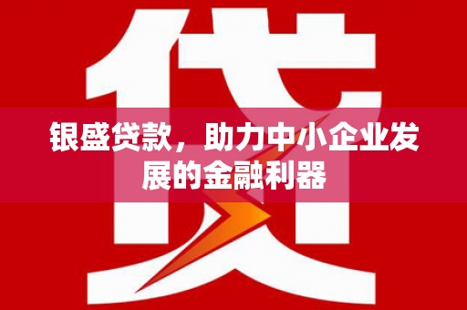 广东银盛贷款，助力中小企业发展的金融利器