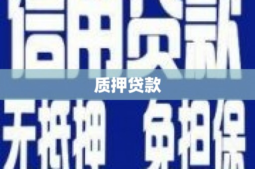 广东质押贷款