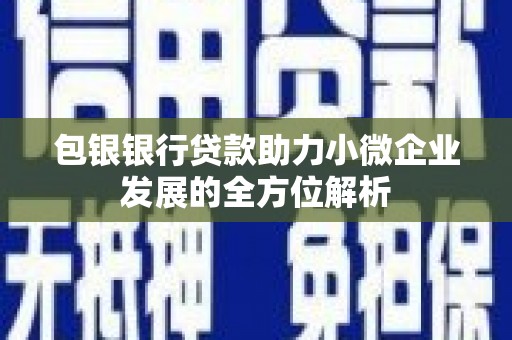 广东包银银行贷款助力小微企业发展的全方位解析