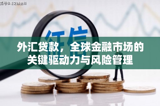 广东外汇贷款，全球金融市场的关键驱动力与风险管理