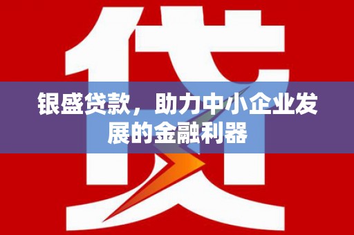 广东银盛贷款，助力中小企业发展的金融利器