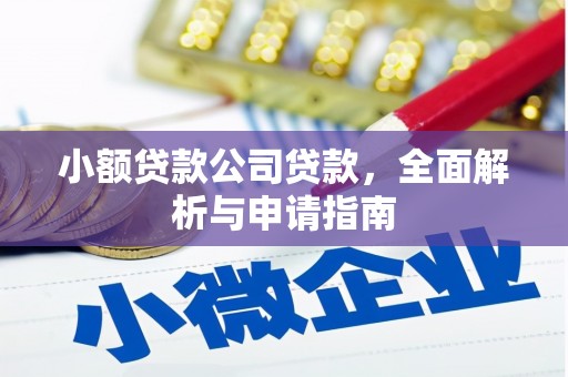 广东小额贷款公司贷款，全面解析与申请指南