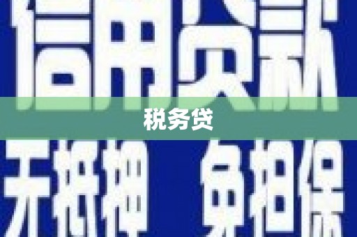 广东税务贷