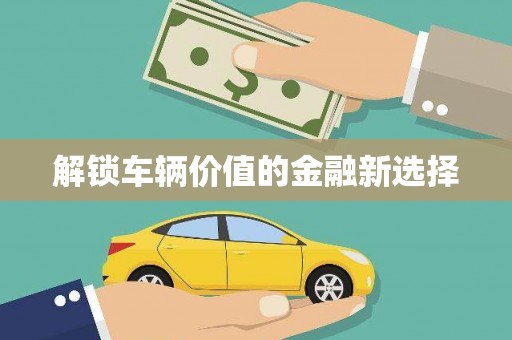 广东解锁车辆价值的金融新选择