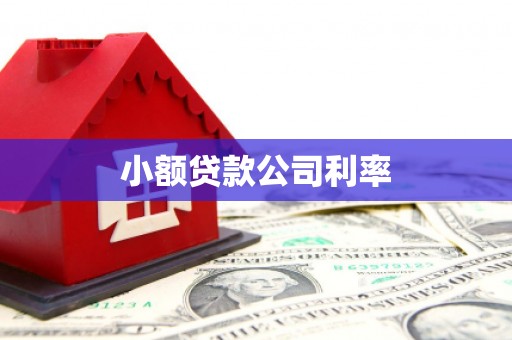 广东小额贷款公司利率