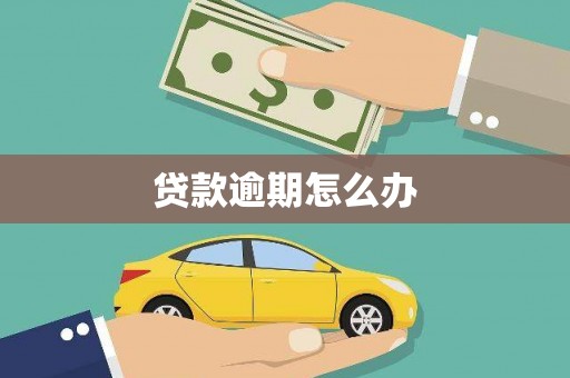 广东贷款逾期怎么办