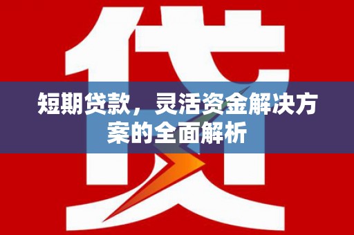 广东短期贷款，灵活资金解决方案的全面解析