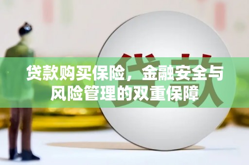 广东贷款购买保险，金融安全与风险管理的双重保障
