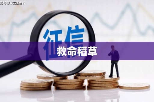 广东救命稻草