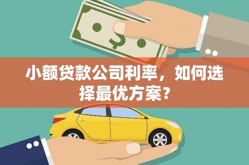 广东小额贷款公司利率，如何选择最优方案？