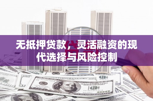 广东无抵押贷款，灵活融资的现代选择与风险控制