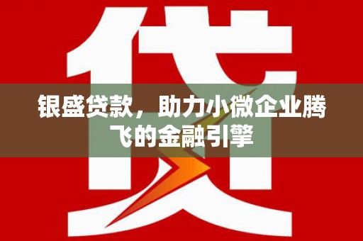 广东银盛贷款，助力小微企业腾飞的金融引擎