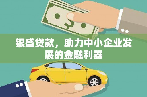 广东银盛贷款，助力中小企业发展的金融利器