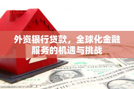 广东外资银行贷款，全球化金融服务的机遇与挑战