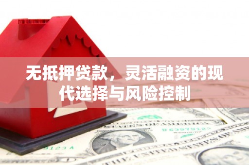 广东无抵押贷款，灵活融资的现代选择与风险控制