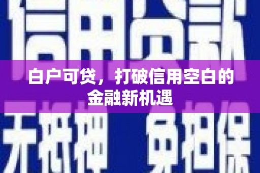 广东白户可贷，打破信用空白的金融新机遇