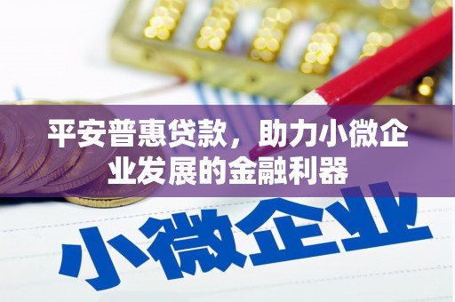 广东平安普惠贷款，助力小微企业发展的金融利器